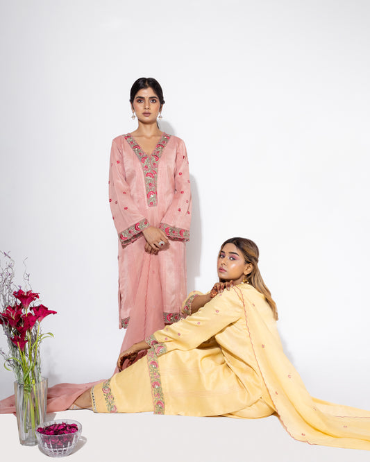 Yellow Organza Panel Embroidered Kurta & Salwar Set