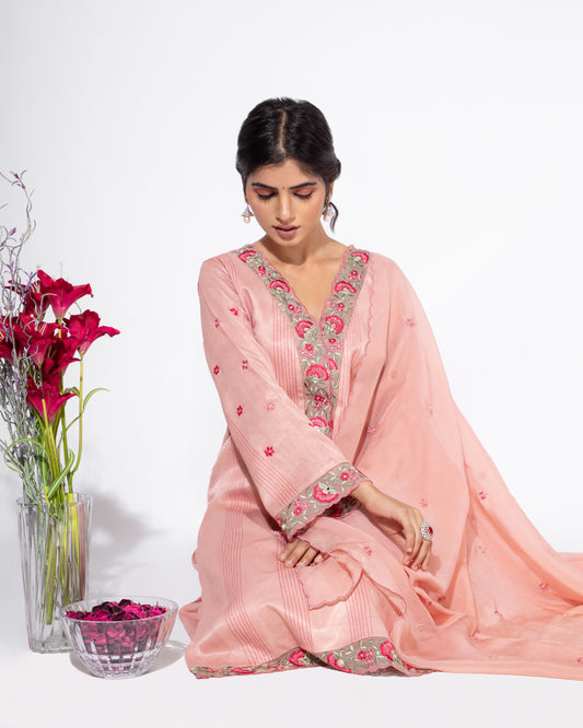 Pink Organza Panel Embroidered Kurta & Salwar Set